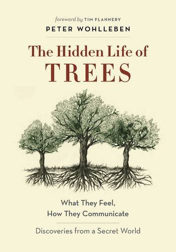 The Hidden Life of Trees by Peter Wohlleben, A Reader’s&nbsp;Advisory