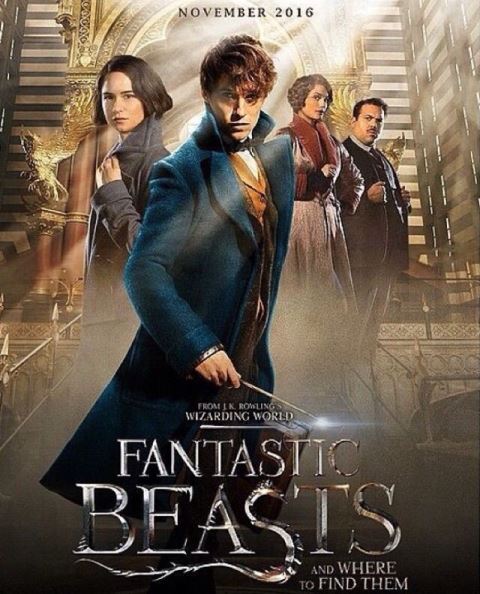 Fantastic Beasts and Where to Find Them-The Movie, A Brief&nbsp;Summary