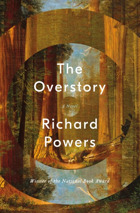 Overstory