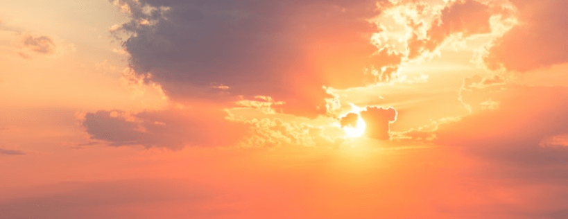 Middle-Grade Summer Reads from the Youth Services&nbsp;Department