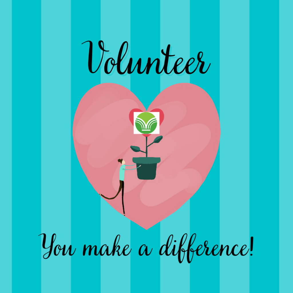 O’Fallon Youth Services Department seeks Teen&nbsp;Volunteers