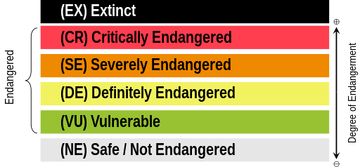 The Lifecycle of a Library&nbsp;Book
